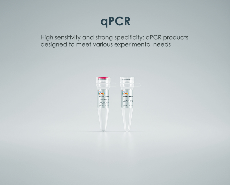 qPCR