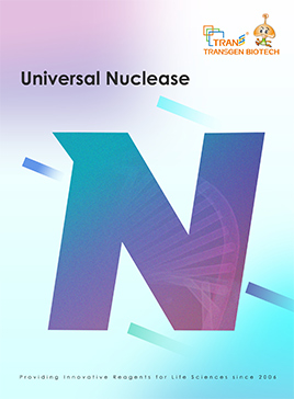 Universal Nuclrase