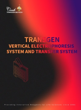 Transgen vertical electrophoresis system and transfer system