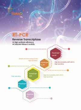 RT-PCR