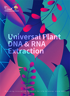 Universal plant DNA & RNA extraction