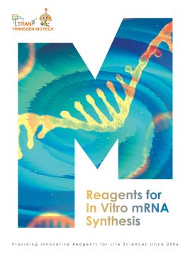 Reagents for In Vitro mRNA Synthesis