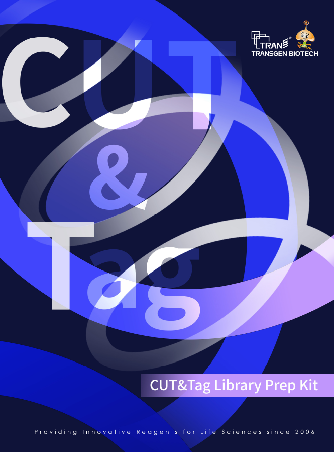 CUT&Tag Library Prep Kit