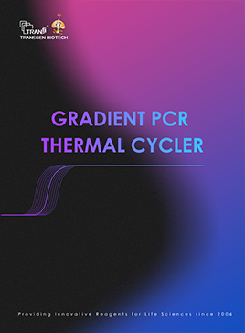 Gradient PCR Thermal Cycler
