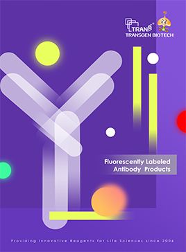 Fluorescently Labeled Antibody Products