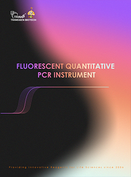 Fluorescent quantitative pcr instrument