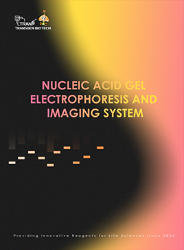 Nucleic Acid Gel Electrophoresis And Imaging System