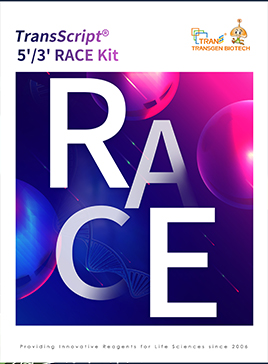 TransScript® 5'/3' RACE Kit