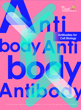 Antibodies for Cell Biology