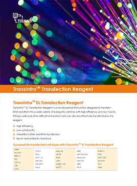 TransIntro PL EL Transfection Reagent