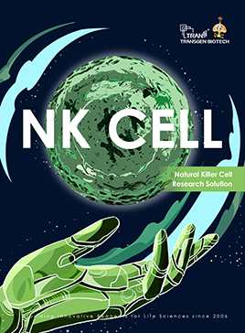 Natutal Killer Cell Research Solution