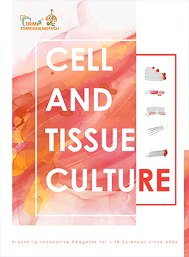 Cell and tissue culture