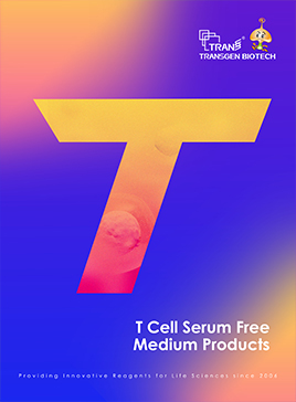 T Cell Serum Free Medium Products