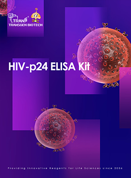 HIV-p24 ELISA Kit
