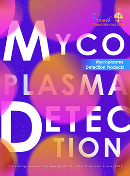Mycoplasma Detection Products