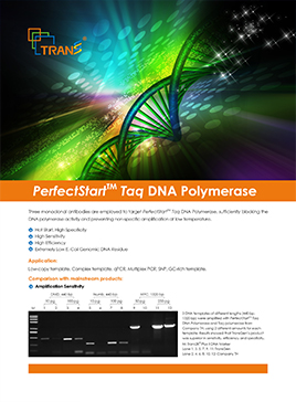 PerfectStart Taq DNA Polymerase