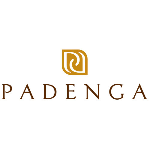 Padenga Holdings Limited