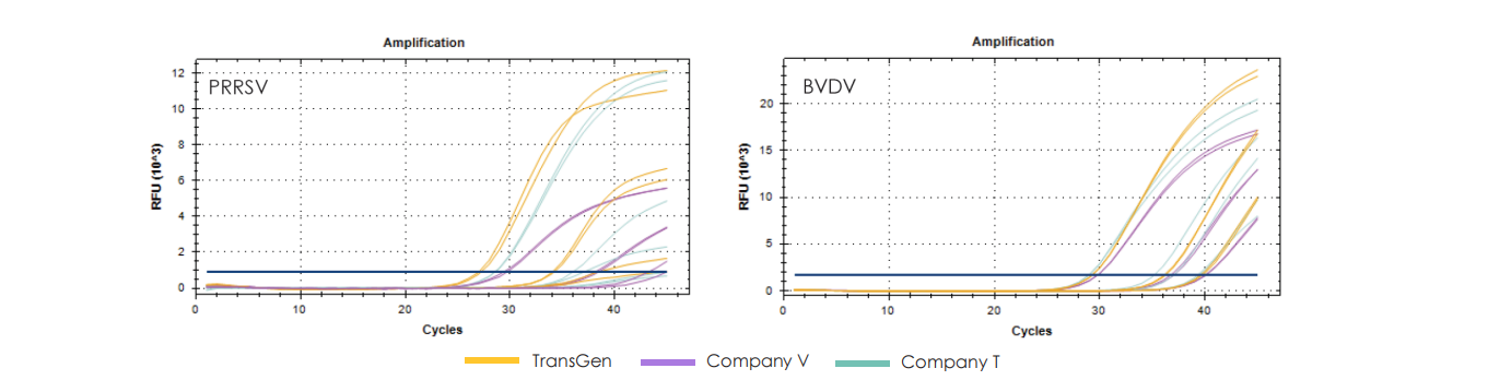 High sensitivity and amplification efficiency