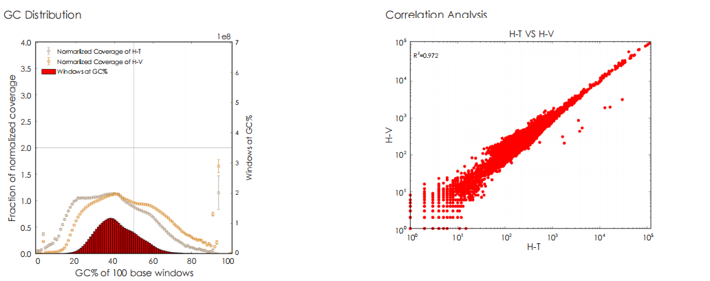 GC Distribution