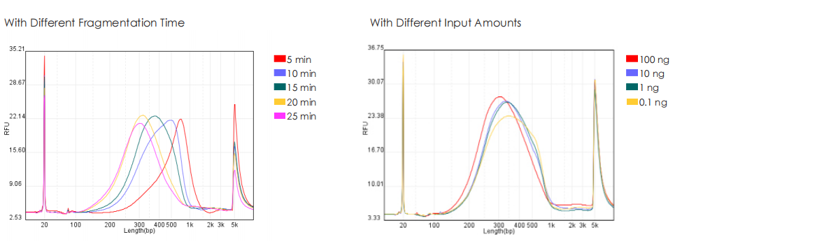 Comparative Analysis with Competing Products